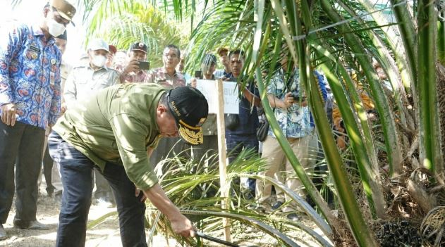 Gubernur Al Haris: Pembukaan Lahan Tanpa Bakar Merupakan Aksi Nyata Minimalisir Karhutla