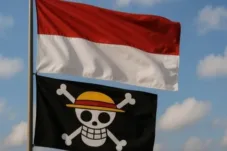 Bendera One Piece: Simbol Perlawanan dari Palestina hingga Indonesia