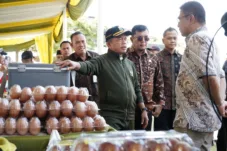 Gubernur Al Haris: Gerakan Pangan Murah Bukti Nyata Komitmen Pemerintah untuk Rakyat