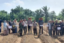 Desa Mendalo Darat Jadi Contoh Ketahanan Pangan Nasional Lewat Program Jagung Hibrida "Satu Hektar Satu Desa"