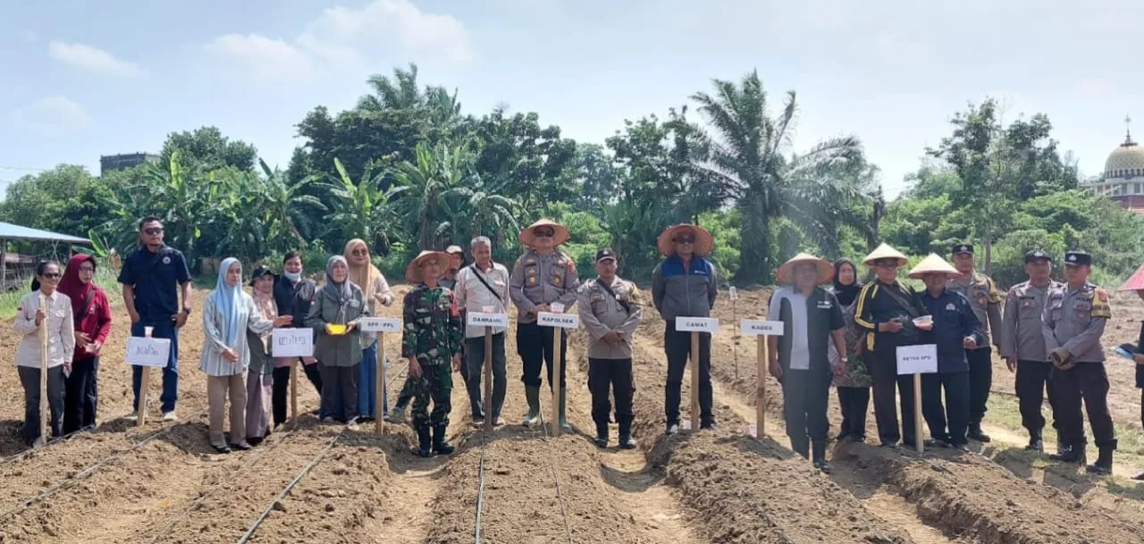 Desa Mendalo Darat Jadi Contoh Ketahanan Pangan Nasional Lewat Program Jagung Hibrida "Satu Hektar Satu Desa"