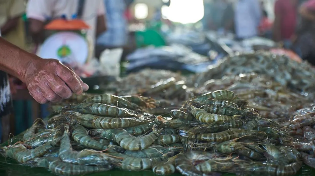FDA AS Tarik Udang Impor Indonesia karena Diduga Terkontaminasi Cs-137