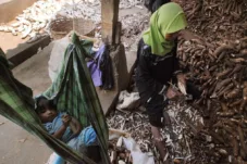 Pemerintah Batasi Impor Etanol dan Singkong, Arahan Presiden Prabowo untuk Lindungi Petani Lokal