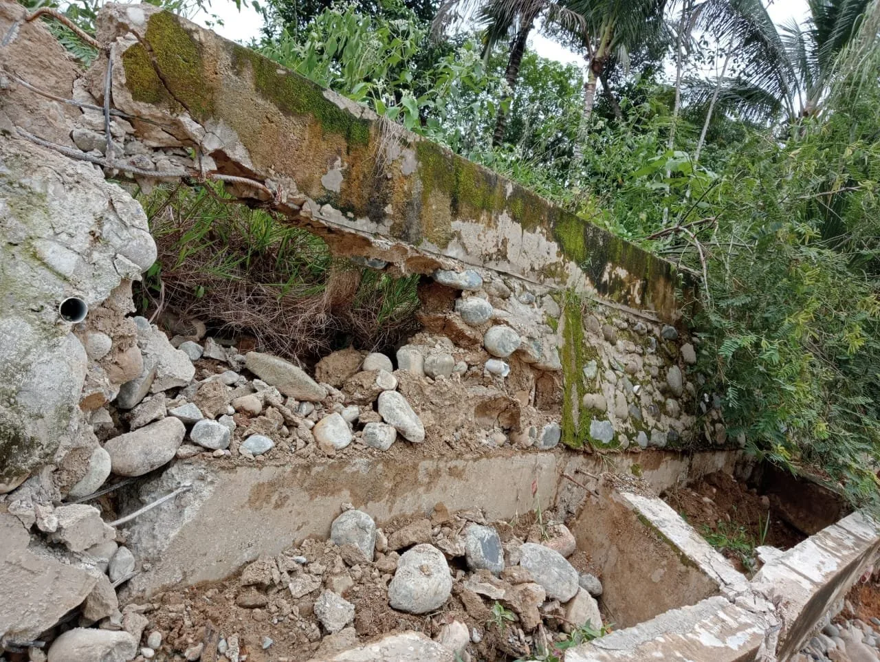 Direktur IJCW Minta Kejati Jambi Usut Dugaan KKN Pada Pekerjaan Turap Beton Bernilai Milliaran di Bungo