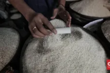 Harga Beras Masih Naik di 214 Kabupaten/Kota per Agustus 2025, Meski Inflasi Mulai Melandai