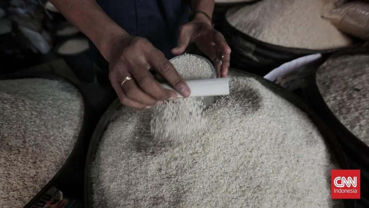 Harga Beras Masih Naik di 214 Kabupaten/Kota per Agustus 2025, Meski Inflasi Mulai Melandai