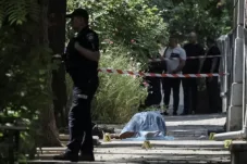 Eks Ketua Parlemen Ukraina Tewas Ditembak: Sebuah Tragedi Politik