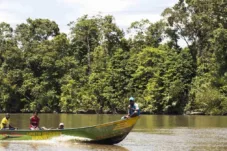 DPR Soroti Isu Pembabatan Kawasan Hutan Mangrove di Kendari