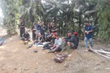 Pemkab Tanjabbar Lalai! Lahan Desa Badang Menyusut Dibikin PT DAS, Kini Tersisa Hanya 300an Hektar