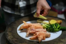 Apakah Ceker Ayam Mengandung Kolesterol? Temukan Fakta Lengkapnya di Sini