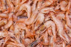 5 Cara Membersihkan Udang yang Benar agar Lebih Sehat saat Diolah