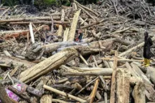 Pembukaan Lahan untuk PLTA, Tambang, dan Sawit Diduga Memicu Erosi Besar Penyebab Banjir di Sumatra Utara