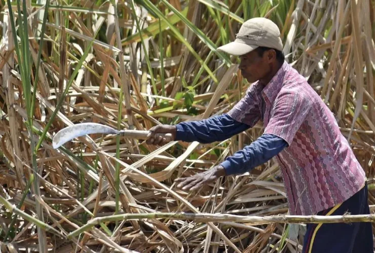 Kejagung dan KPK Usut Dugaan Korupsi Penerbitan HGU Gula di Lahan TNI AU