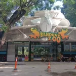 Masa Depan Bandung Zoo Ditentukan Dua Bulan ke Depan, Ini Pertimbangan Pemkot Bandung