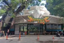 Masa Depan Bandung Zoo Ditentukan Dua Bulan ke Depan, Ini Pertimbangan Pemkot Bandung