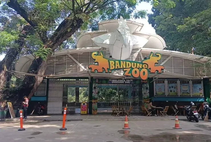 Masa Depan Bandung Zoo Ditentukan Dua Bulan ke Depan, Ini Pertimbangan Pemkot Bandung