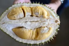7 Makanan dan Minuman yang Sebaiknya Tidak Dikonsumsi Bersama Durian