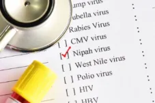 Waspada Virus Nipah, Kemenkes Imbau Masyarakat Hindari Konsumsi Nira Mentah