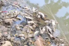 Air Kali Cisadane Belum Dipastikan Aman, Gudang Kimia di Taman Tekno Diduga Tak Kantongi Izin Lingkungan