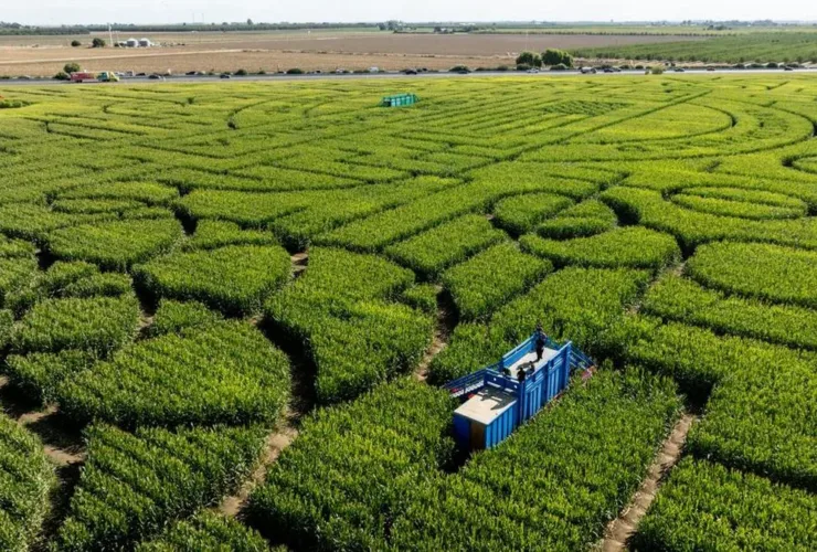 Menjelajah ‘Sudut Terlarang’, Labirin Misterius Paling Aneh di Yorkshire Dales