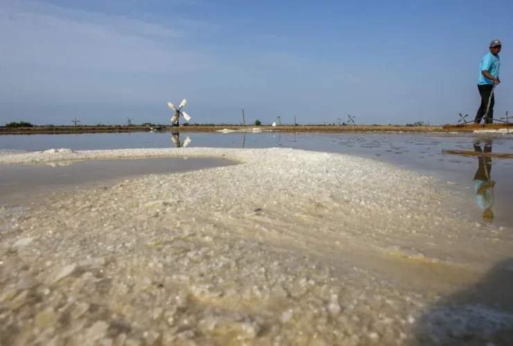Kementerian Kelautan dan Perikanan Tawarkan 10 Ribu Hektare Tambak Garam di Rote Ndao untuk Investor Swasta