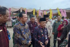 Kritisi.ID