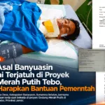 Kritisi.ID