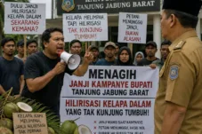 Kritisi.ID