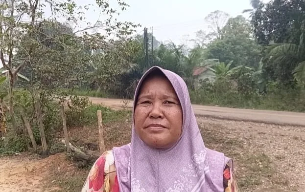 Kritisi.ID