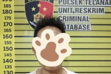 Kritisi.ID